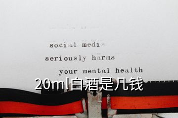 20ml白酒是幾錢