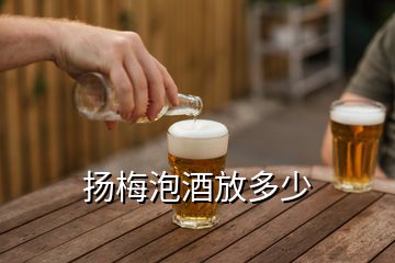 揚(yáng)梅泡酒放多少