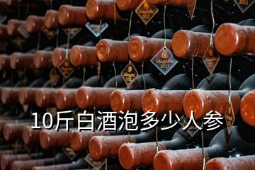 10斤白酒泡多少人參