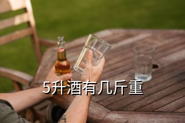 5升酒有幾斤重