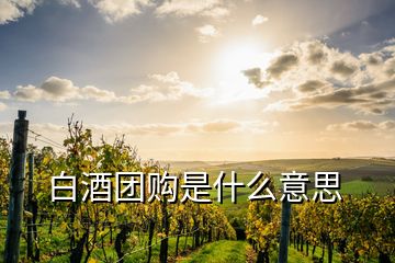 白酒團購是什么意思