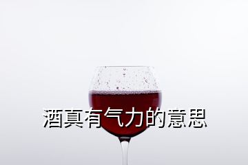 酒真有氣力的意思