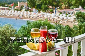 茅臺(tái)酒大概多少錢一瓶啊