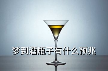 夢到酒瓶子有什么預兆