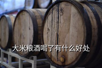 大米糧酒喝了有什么好處