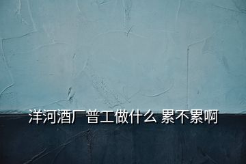 洋河酒廠普工做什么 累不累啊