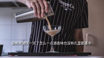 自制米酒快一天了怎么一點酒香味也沒有孔里都是水