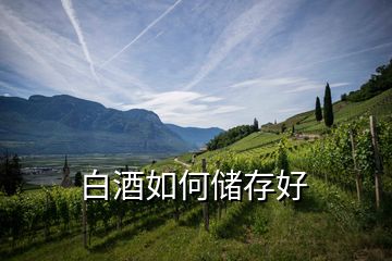 白酒如何儲(chǔ)存好