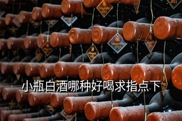 小瓶白酒哪種好喝求指點下