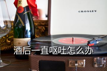 酒后一直嘔吐怎么辦