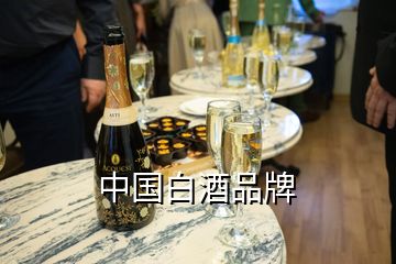 中國白酒品牌