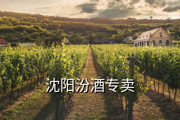 沈陽汾酒專賣