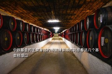 中歐基金的王健睿遠的傅鵬博景順的劉彥春這幾個基金經理口