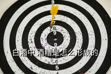 白酒中 酒糟是怎么形成的