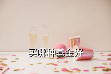 買(mǎi)哪種基金好