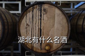 湖北有什么名酒