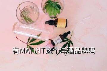 有MATINT這個洋酒品牌嗎