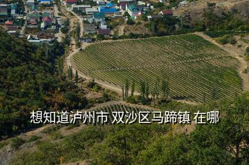 想知道瀘州市 雙沙區(qū)馬蹄鎮(zhèn) 在哪