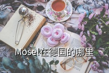 Mosel在德國的哪里