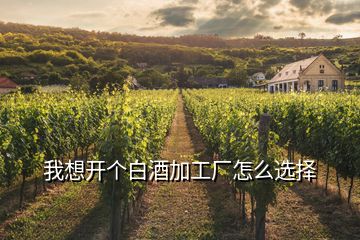 我想開個(gè)白酒加工廠怎么選擇