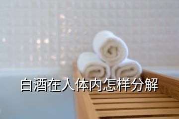 白酒在人體內(nèi)怎樣分解