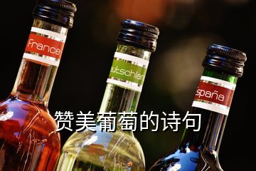 贊美葡萄的詩(shī)句