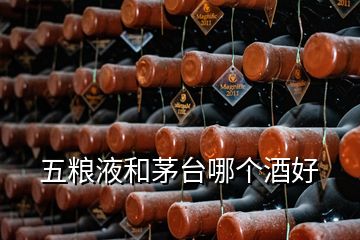 五糧液和茅臺(tái)哪個(gè)酒好