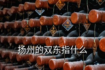 揚(yáng)州的雙東指什么