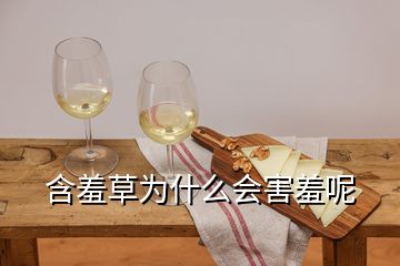 含羞草為什么會(huì)害羞呢