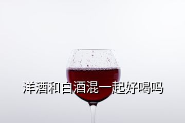 洋酒和白酒混一起好喝嗎