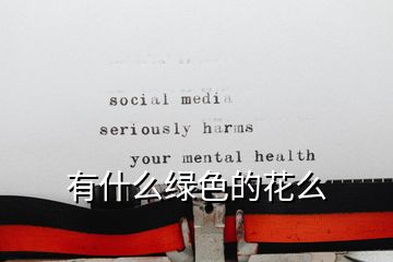 有什么綠色的花么