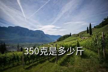 350克是多少斤