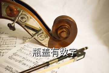 瓶蓋有數(shù)字