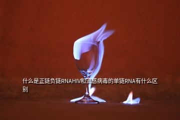 什么是正鏈負(fù)鏈RNAHIV和流感病毒的單鏈RNA有什么區(qū)別