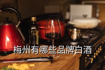 梅州有哪些品牌白酒