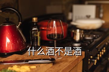 什么酒不是酒