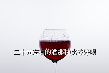 二十元左右的酒那種比較好喝