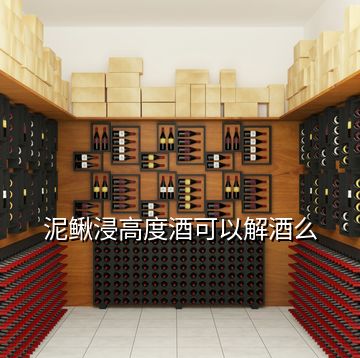 泥鰍浸高度酒可以解酒么