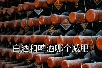 白酒和啤酒哪個(gè)減肥