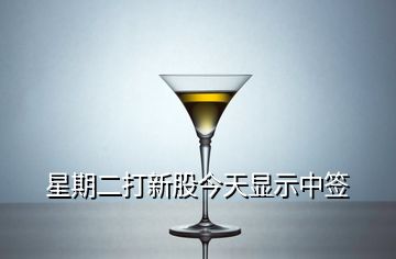 星期二打新股今天顯示中簽