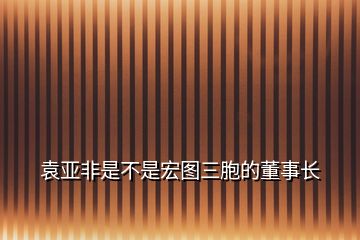 袁亞非是不是宏圖三胞的董事長