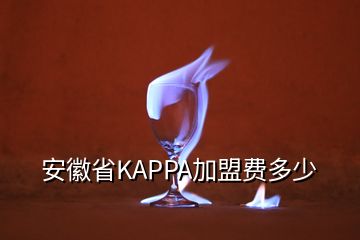 安徽省KAPPA加盟費多少