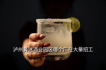 瀘州黃迷酒業(yè)園區(qū)哪個廠在大量招工