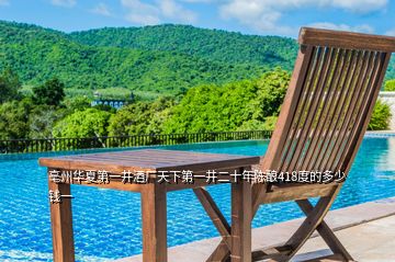亳州華夏第一井酒廠天下第一井二十年陳釀418度的多少錢一