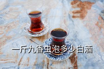 一斤九香蟲泡多少白酒