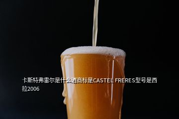 卡斯特弗雷爾是什么酒商標(biāo)是CASTEL FRERES型號(hào)是西拉2006