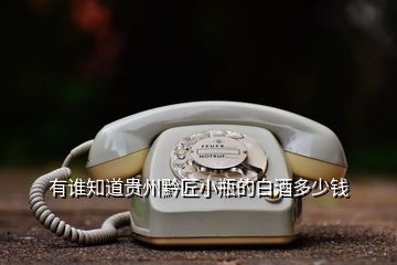 有誰(shuí)知道貴州黔匠小瓶的白酒多少錢