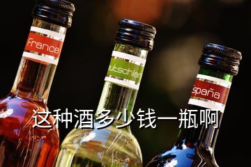 這種酒多少錢一瓶啊