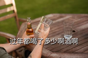 過年都喝了多少啊酒啊