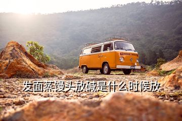 發(fā)面蒸饅頭放堿是什么時(shí)候放